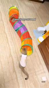 SG STOCK Foldable  Portable Fun Cat Tunnel Cat Interactive Toy Cat supplies