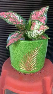 Clay Pots 8x8 7x7