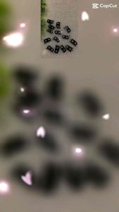 kính camera sau xiaomi 8lite zin đẹp giá lại rẻ