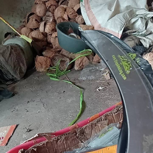 EGREK KLS PALM KING LONG ULTRA ORIGINAL MALAYSIA