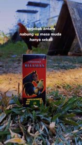 Bitamax vitamin ayam dengan Vitamin B-Complex + Asam Amino + Ekstrak Hati