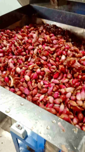 mesin perajang bawang merah dan bawang putih