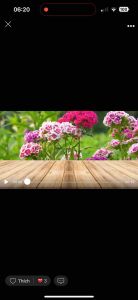 VUA SÂU 50EC Thu.ốc Xông hơi cực mạnh Công ph.á sâu rầy với hoạt chất Profenofos chai 450ml