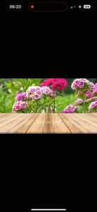 THUỐC TRỪ SÂU BINHFOS 50EC CHAI 450ML ( Thay Thế Chlorpyrifos Ethyl 500/l + Cypermethrin 50g/l ) DIỆT TRỪ NHÓM SÂU MIỆNG NHAI GẶM NHẮM CHÍCH HÚT