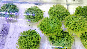 เพิลกลาส ไม้น้ำพื้นตู้