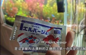 日本上野黄粉观赏鱼杀菌消炎金鱼烂鳍锦鲤七彩斗鱼孔雀鱼药/Japanese Ueno yellow powder ornamental fish sterilization and anti-inflammatory goldfish .. Yellow Powder For Aquarium Terrarium Purification Powder - Lazada