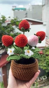 Chậu hoa dâu tây móc len thích hợp decor và làm quà tặng ý nghĩa