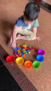 LaLemon เล่นฝึกแยกสี Classifications Toy สำหรับเด็ก - Montessori ของเล่นสไตล์ Montessori