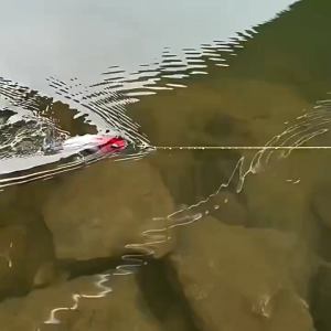 Umpan Popper Premium 6-10g – Plopper Whopper dengan Ekor Berputar Umpan Andalan untuk Strike Lele & Bass di Air Dangkal