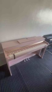 JWC MUSIC HP720B PINK WEIGHTED 88KEYS DIGITAL PIANO