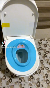 Tấm lót thu gọn bồn cầu cho trẻ nhỏ hàng Cao cấp việt nhật