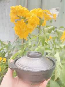 Nồi gang 12cm chống dính Vạn lợi thố gang kho quẹt