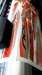 STRIPING NOUVO LIMITED 2004