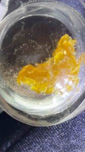 Lp Udomsap Roopom 100 Lp moons Phra somdej towel and oil in clear waterproof casing amulets Buddisum religious