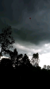 ว่าวปักเป้าความยาว35ซ.มมีขายเป็นชุด5ตัว