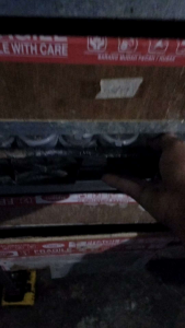50 kepik Jerman berkualitas dari umur 7 bulan lebih siap produksi
