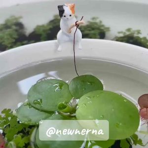 เครื่องมือแมวเหมียวสำหรับตกแต่งสวน ขอบอ่างปลา ขอบตู้ปลา อ่างบัว