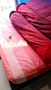 กำจัดไรฝุ่น ป้องกันภูมิแพ้ฝุ่นละอองในห้องนอนในรถยนต์สมุนไพรแท้ สเปรย์กำจัดไรฝุ่น กลิ่นหอมสดชื่น อ่อนโยคน ปลอดภัยสำหรับผู้ใช้