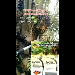 (100%ORI) Sickle / Sabit CAP 111 Taji set/ Full set dengan Sabit Cap 111