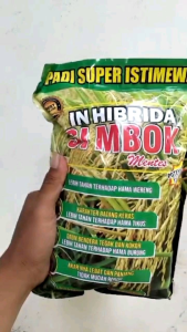 3 KG BENIH IN-HIBRIDA SIMBOK MENTES original untuk hasil yang maksimal