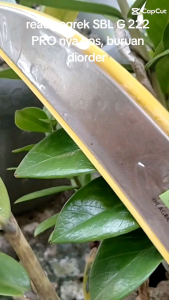 SBL G 222 Pro Original