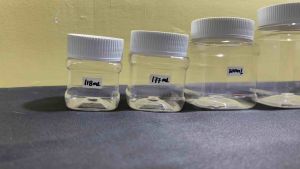 [ 50 Pieces ] Honey Jar white cap By Drakes Packaging Supplies