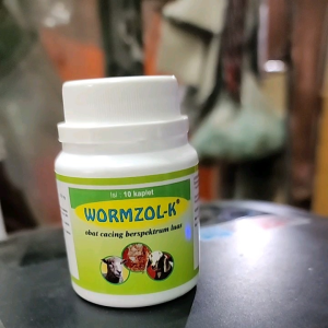 1 BOTOL WORMZOL 10 KAPLET: Obat Cacing Spektrum Luas & Vitamin Nafsu Makan