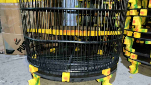 SANGKAR BURUNG KUALITAS SUPER KANDANG PERKUTUT MOTIF RAJAWALI HITAM - COD CIANJUR