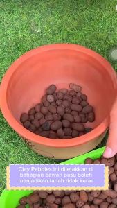 Clay Pebbles Clay Ball Leca Stone Hydro Stone Hydrokorrels Leca Planting Media Garden Supplies
