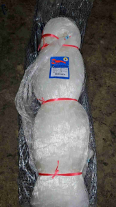 jaring ikan tenggiri/ terubuk 2½inci 0.35mm 180md 720m tate
