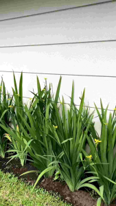 Bellita Dress Gamis Brukat + Selendang Mutiara 5 Model Gaya Style Premium Lebaran Hari Raya Murah