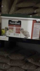 NUTRIBIRD A21 – DƯỠNG CHẤT VÀNG CHO VẸT NON CHIM NON KHỎE MẠNH TỪ TRONG TỔ