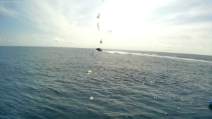 FISHING RIG BAIT FISHING SABIKI FISHING BATHROOM FISHING