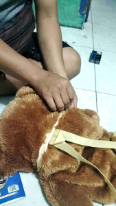 TAS BONEKA BERUANG JUMBO TAS RANSEL SEKOLAH PAUD SD TK DLL