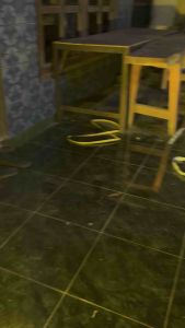 DAYMAKER KINGKONG 575 inc 57 575 inci pnp batok l2g cd cb 100