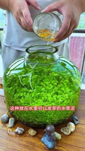 Cay Aqua Soil Tanah Aquarium 3L