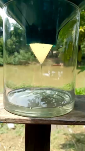 น้ำมันมะพร้าวสกัดเย็น 1ลิตร(1000ml.)