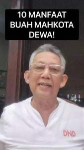 皇冠果/Buah Mahkota Dewa (100g)Homemade(Ready Stock 现货)