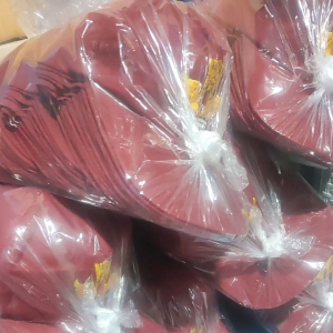 Topi Sekolah SD Polos Bordir TUTWRI Isi 20 Pcs