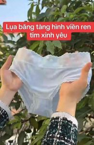 Combo 5 Quần Lót Nữ Su Lụa Siêu Mát Thoáng Khí Đáy Chất Cotton