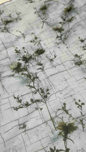 Kain Katun Toyobo Print Motif Harga per 05 Meter