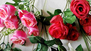 kuncup tropis menir cab 6 ecer