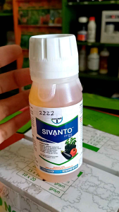Insektisida SIVANTO Prime 200 sl isi 100ml