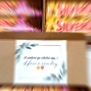 Paket 1 dus / 10 pcs Silverqueen Coklat cokelat chocolate silver queen gift box hampers hadiah kado ulang tahun birthday anniversary valentine natal wisuda hari ibu hari guru rasa almond dan cashew mede