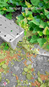 (TERBARU) TEMPAT BAKAR SATE PANGGANG IKAN AYAM DLL ANTI KARAT