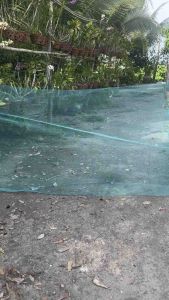 (DỚN ĐẠI 55cm)Dớn có cánh 1m8 chặn sông bắt cá loại lớn hàng đặt thợ làm lưới lỗ3li bắt được tất cả các loại cá và tép