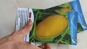 Benih Bibit Timun Suri Tahan Virus SRI DEWI 10 Gram 400 Butir SAYAP DAUN