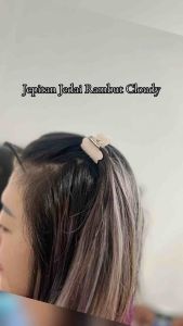 SHARON - JEPITAN RAMBUT JEDAI CLOUDY KOREAN MODEL / JEPIT JEDAI KOREA KECIL
