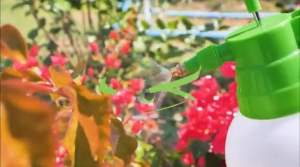 Chaiyo กระบอกพ่นยา กระบอกรดน้ำ ถังพ่นยาขนาด 2 ลิตร หัวฉีดแรงดันสูง ฟ๊อกกี้ รดน้ำต้นไม้ หัวฉีดพ่นยา หัวฉีดทองเหลือง ตราไชโย