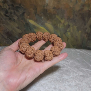 Gegegems XL 24mm+ to 25mm premium natural Nepal Rudraksha from high altitude dense & high oil contents same tree flat top & bottom Honeycomb Needle Holes Panlong 5 Mukhi (faces) bracelet